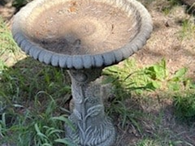 IMG_0800