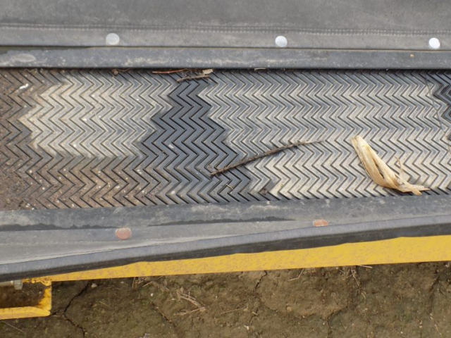 DSCN0879